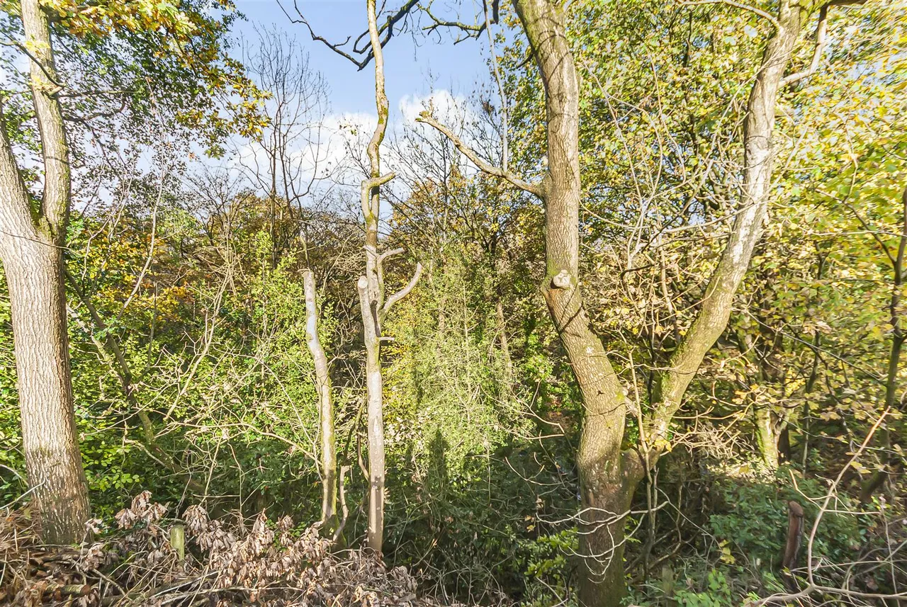 Havenbrook Grove, Ramsbottom, Bury, BL0 9UA, photo 15