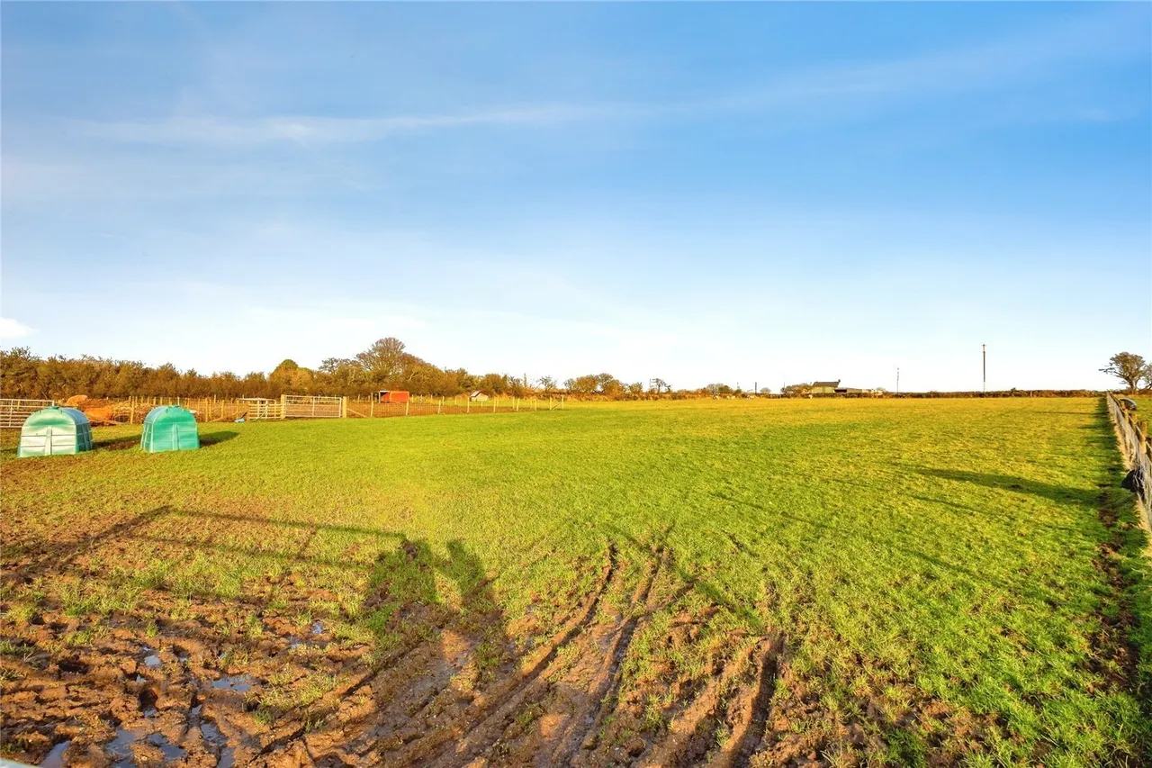 Tegryn, Llanfyrnach, SA35, photo 58