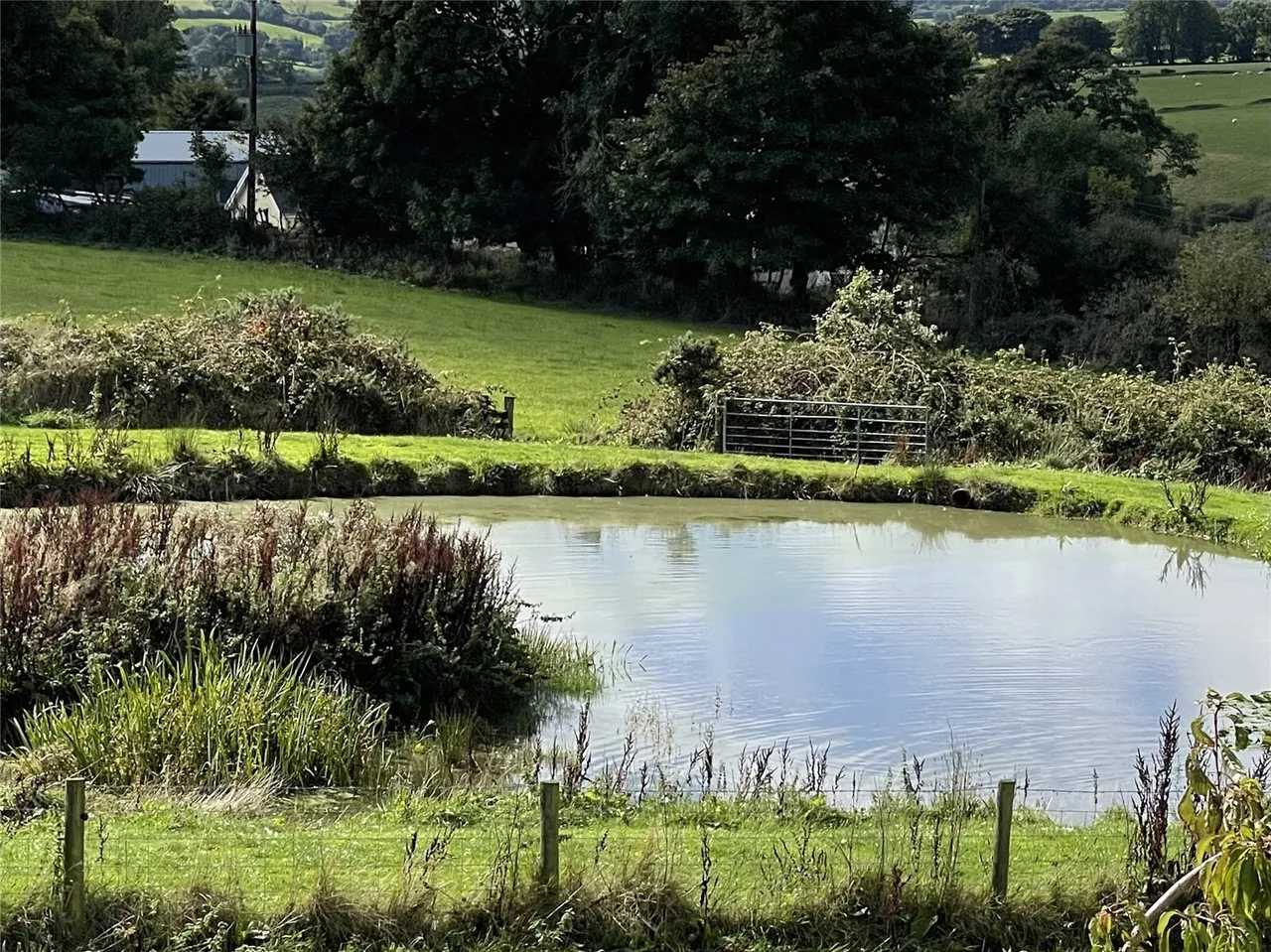 Tegryn, Llanfyrnach, SA35, photo 47