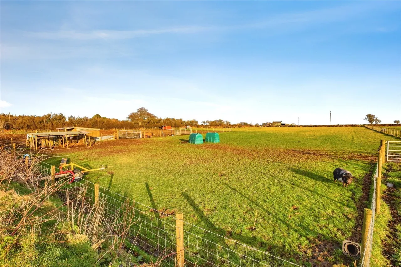 Tegryn, Llanfyrnach, SA35, photo 60