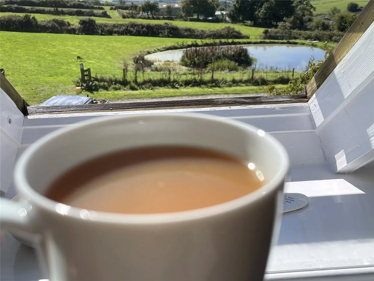 Tegryn, Llanfyrnach, SA35, photo 19