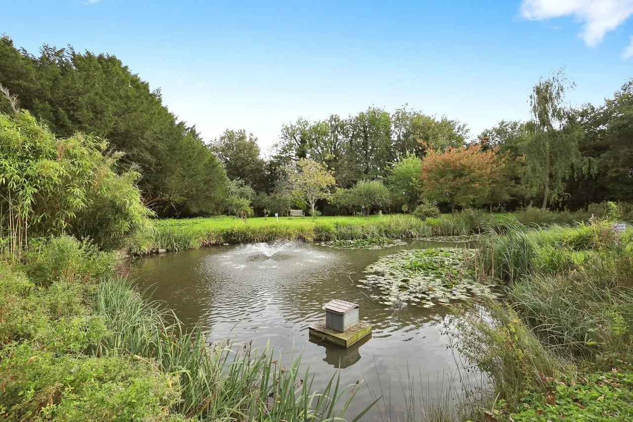Delves Close, Ringmer, BN8, photo 12