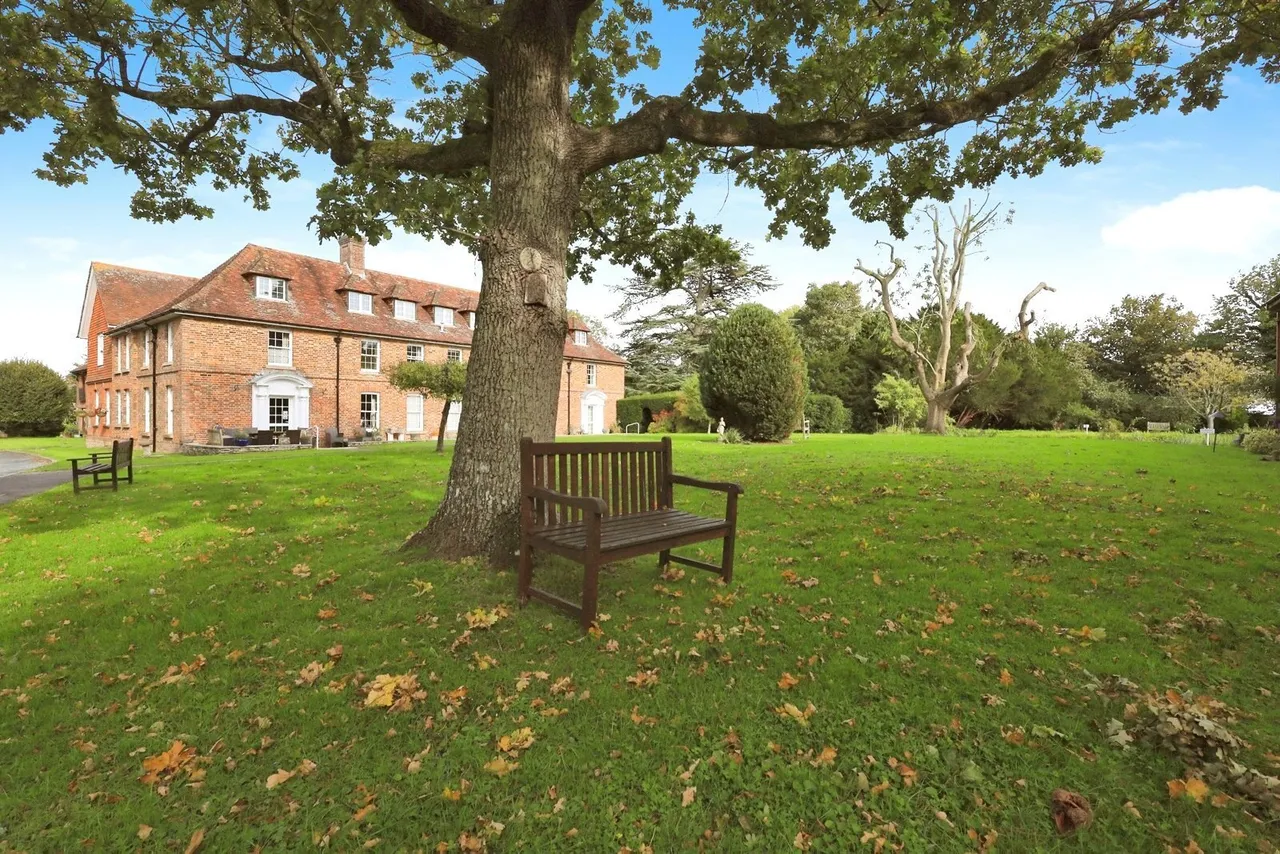 Delves Close, Ringmer, BN8, photo 13