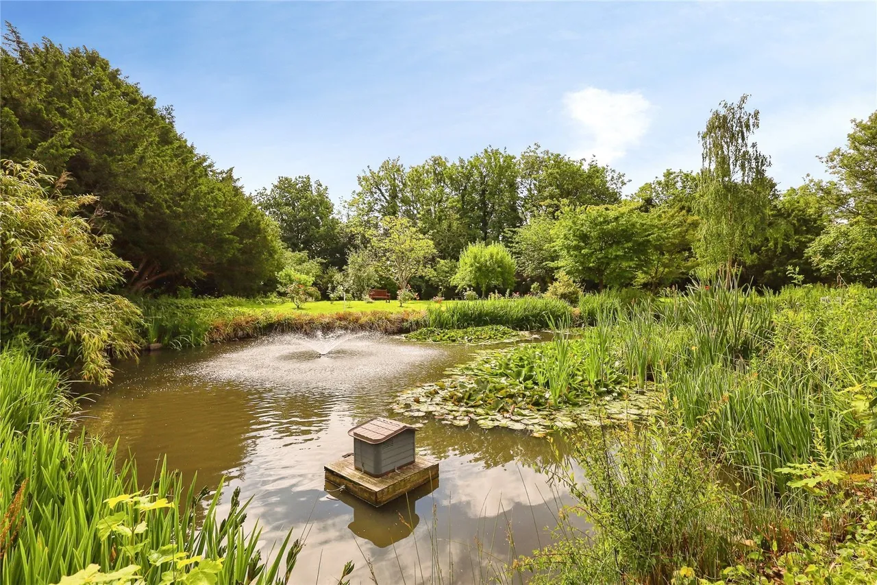 Delves Close, Ringmer, BN8, photo 6