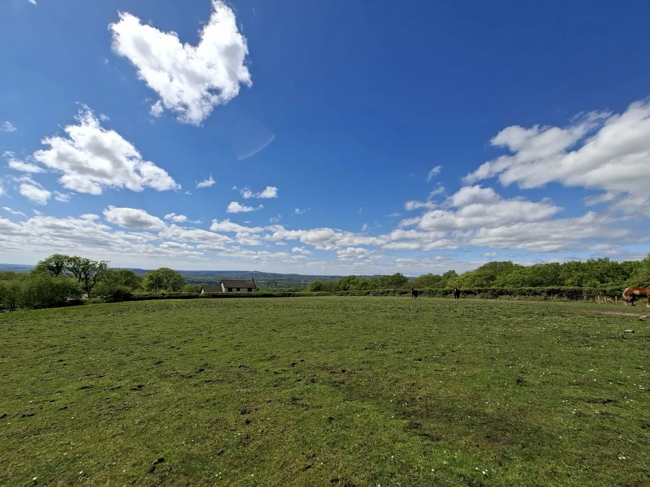 Heol Ddu, Ammanford, SA18, photo 26