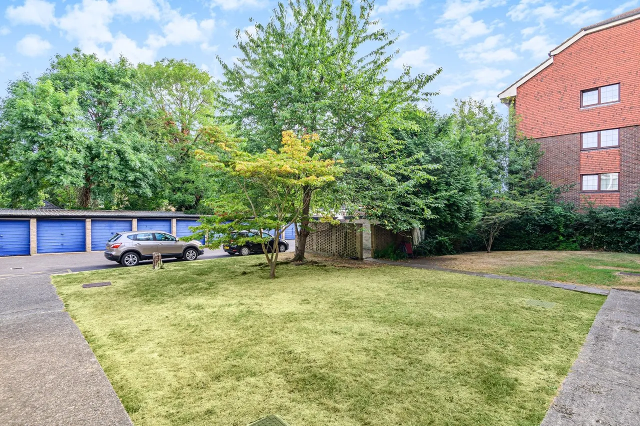 Albemarle Road, Beckenham, BR3, photo 8