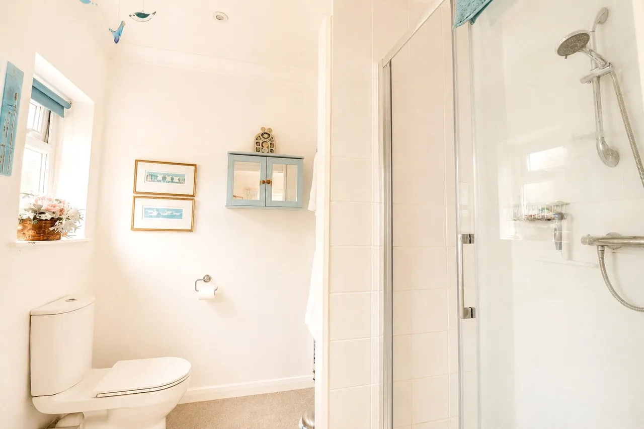 Great Meadow, Dulverton, TA22, photo 15
