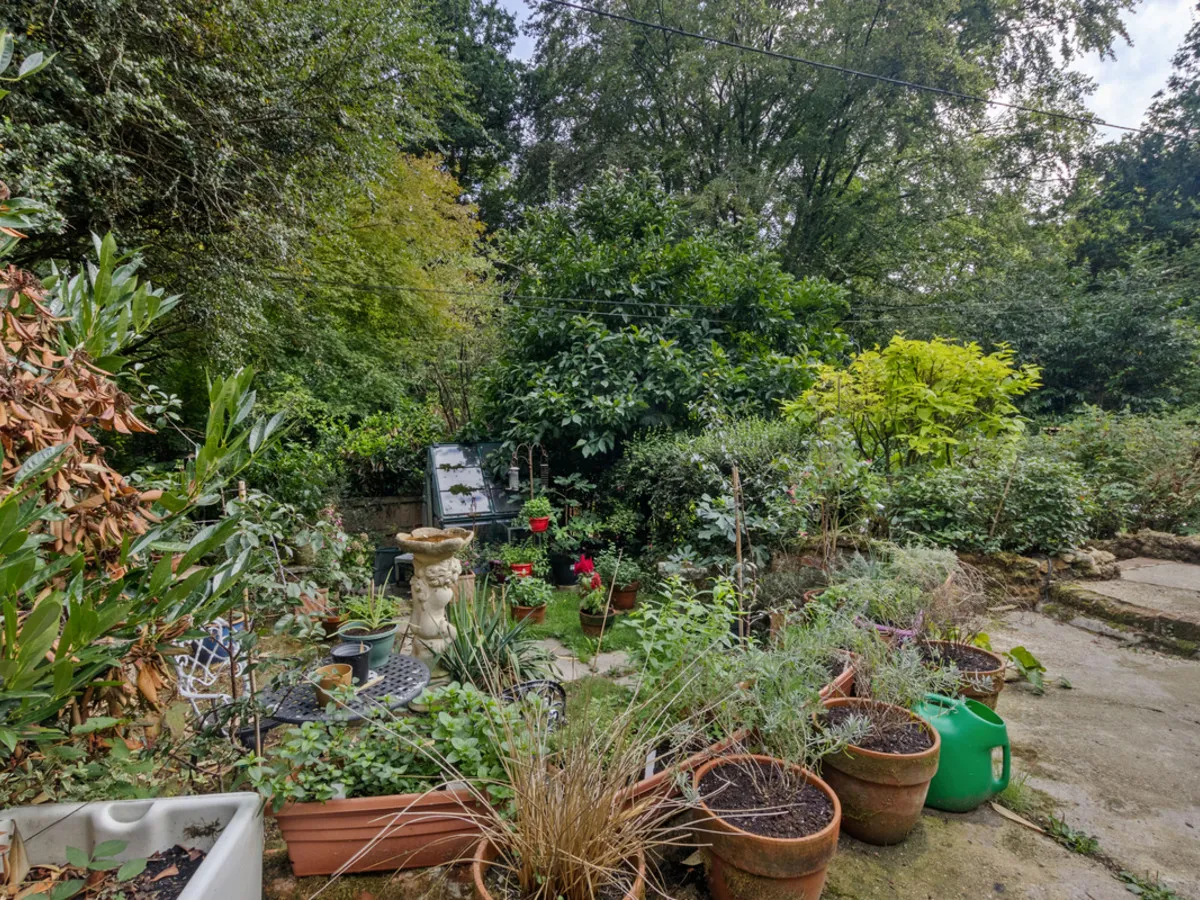 Sandy Lane, Rake, GU33, photo 21