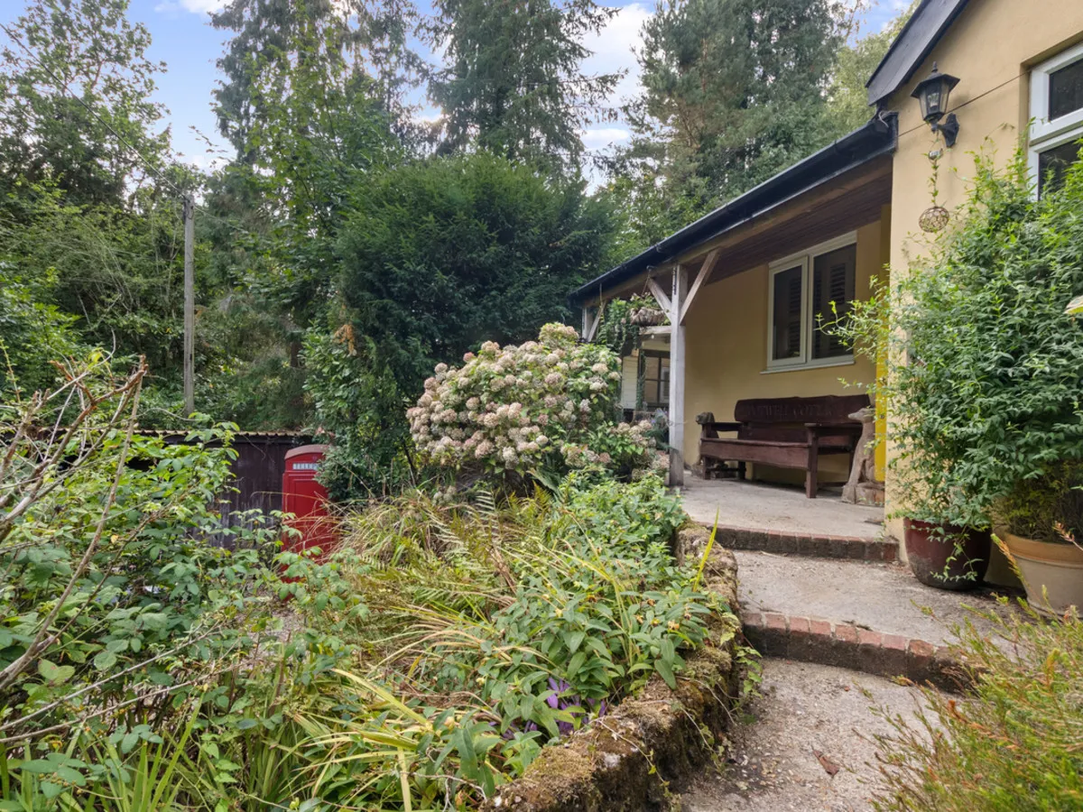 Sandy Lane, Rake, GU33, photo 16