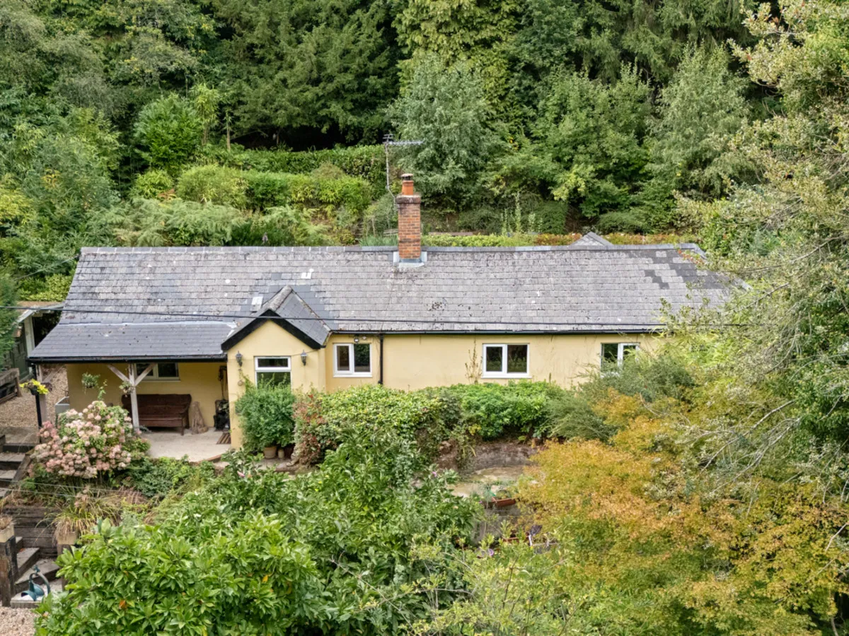 Sandy Lane, Rake, GU33, photo 22