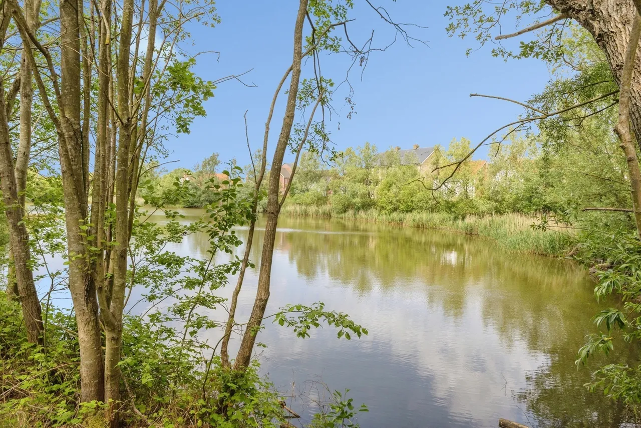 Hobby Drive, Wymondham, Norfolk, NR18, photo 16