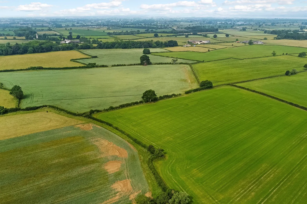 Bath Road, Frocester, GL10, photo 25