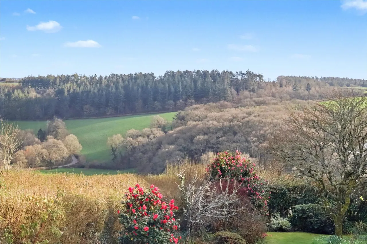 Chulmleigh, Devon, photo 24