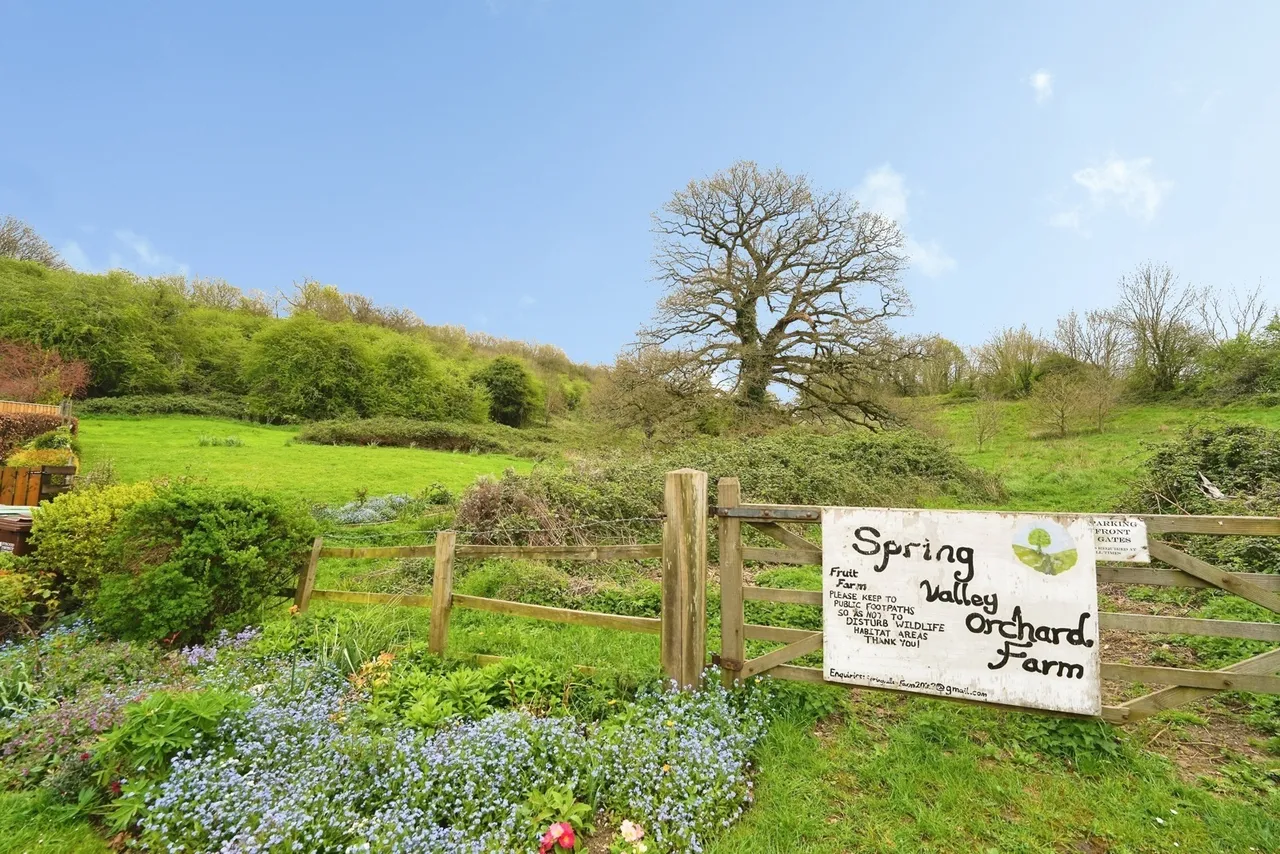 Bramble Lane, Stonehouse, Gloucestershire, GL10, photo 11