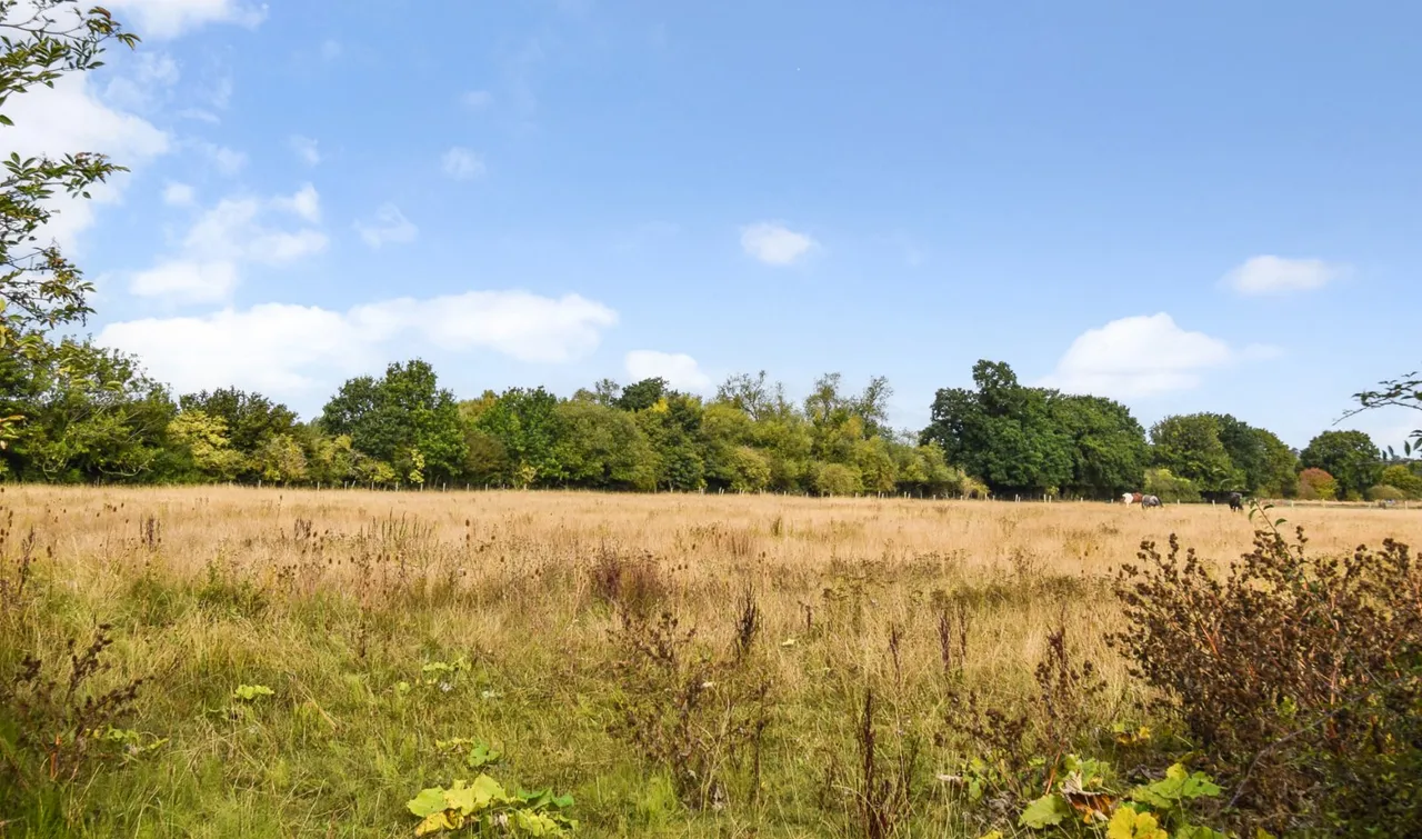 Taplow, Buckinghamshire, photo 20