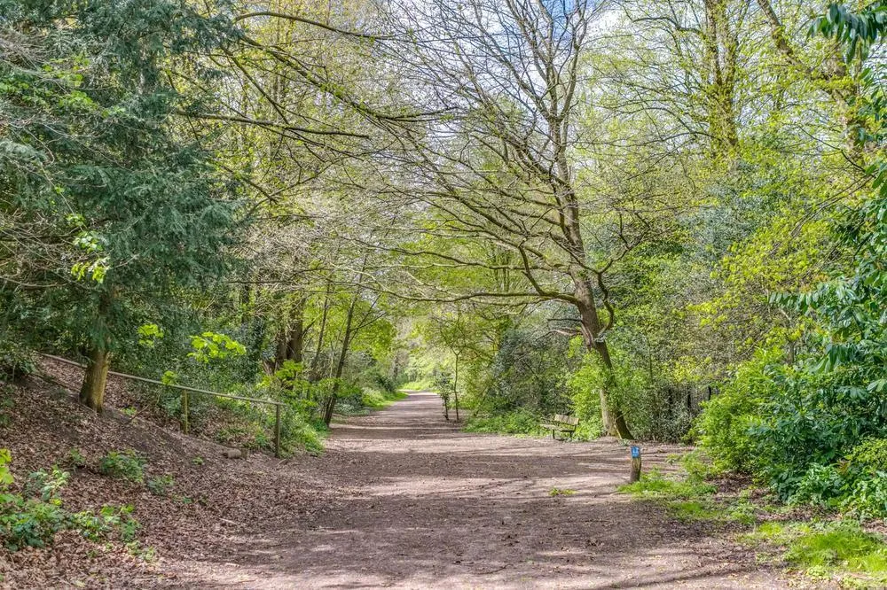 Sandy Road, London, NW3, photo 10