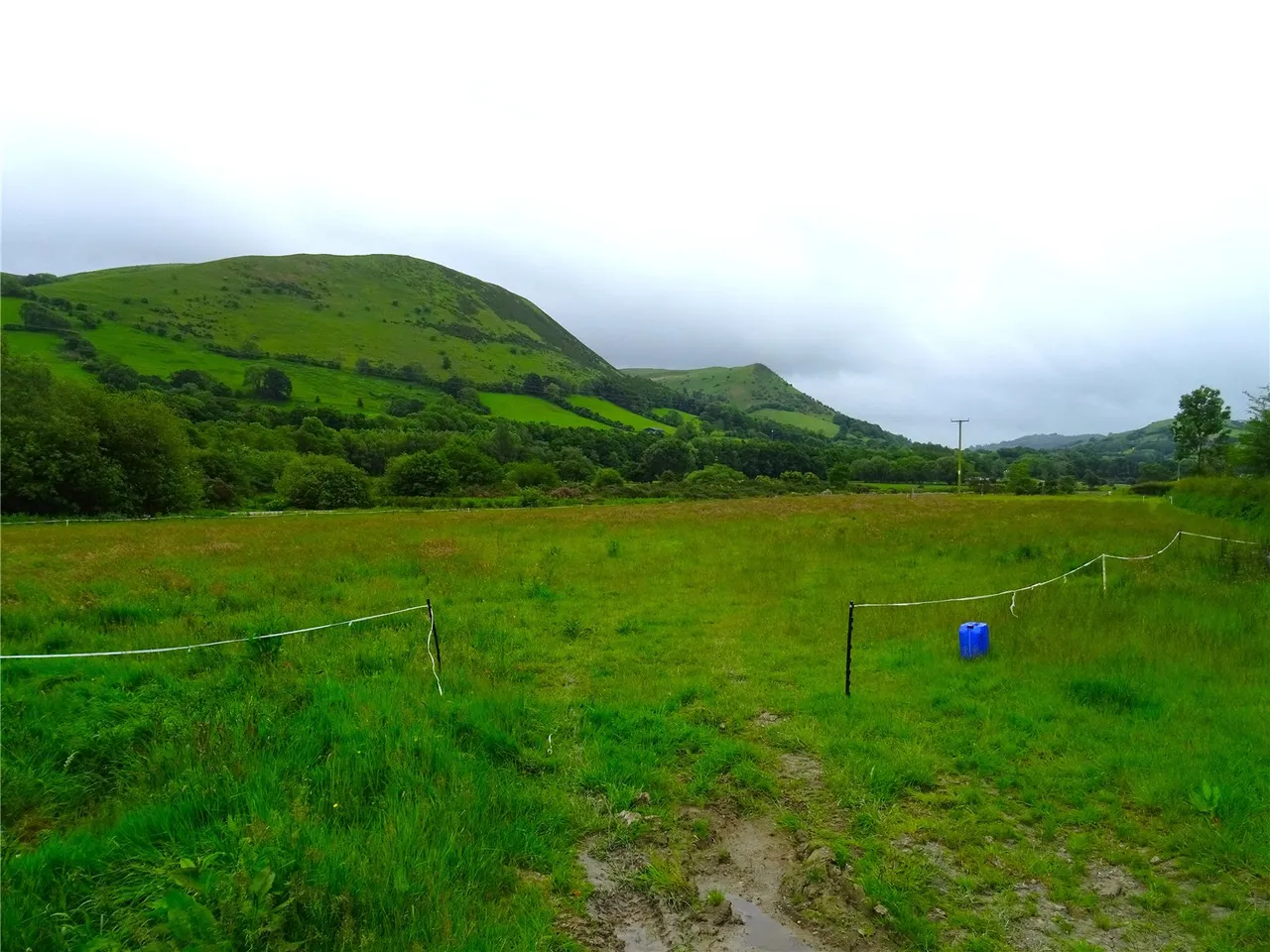 Land Formerly Part of Neuaddllwyd, Llandinam, photo 4