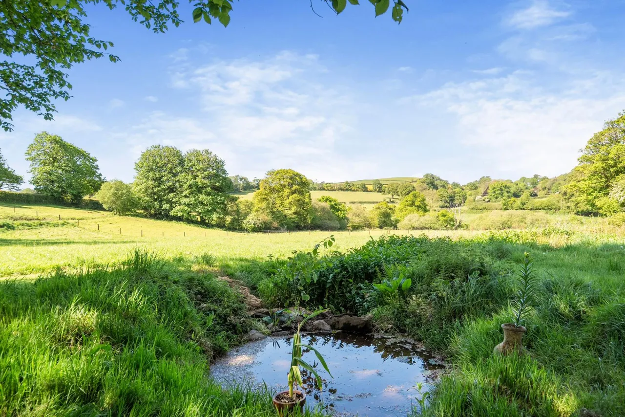 Harbertonford, Totnes, TQ9, photo 29