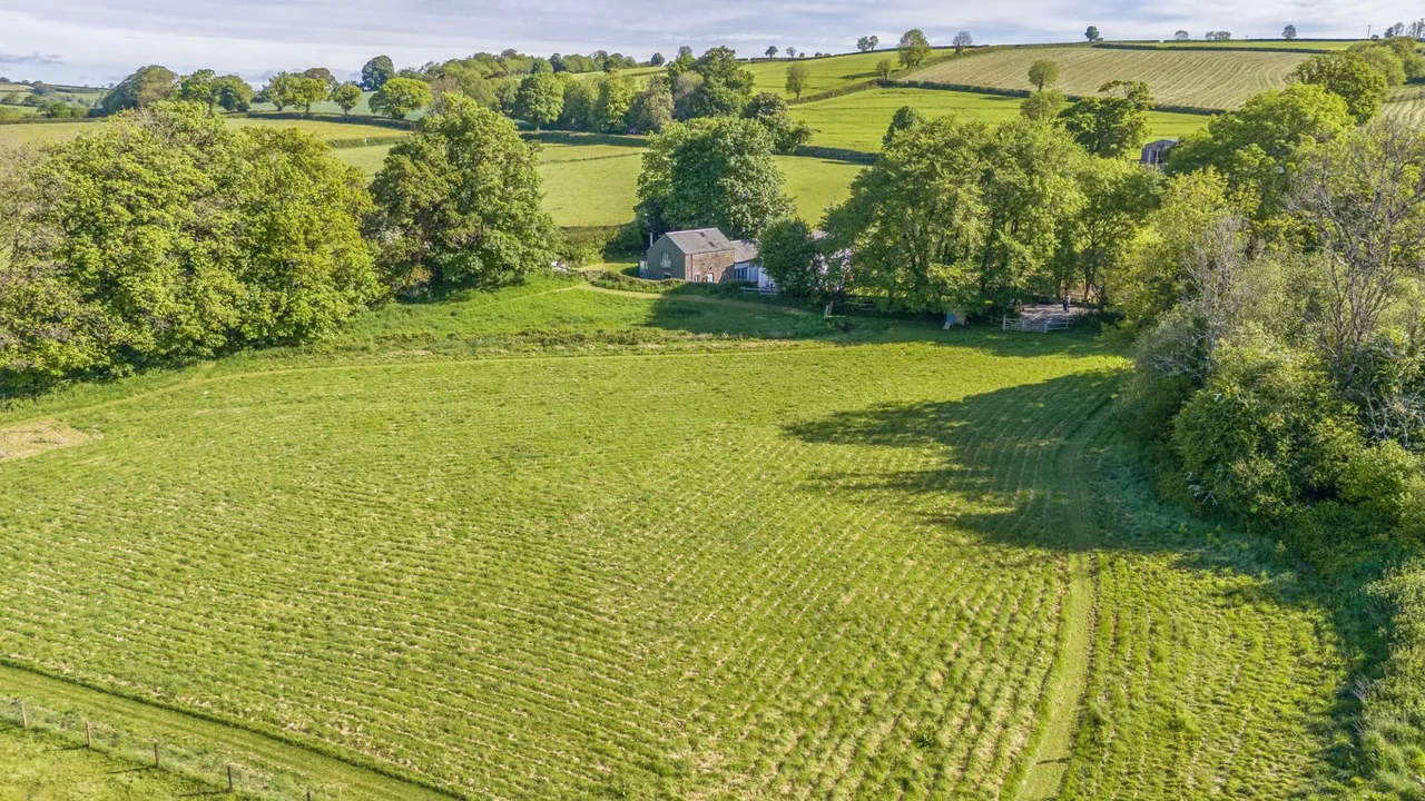 Harbertonford, Totnes, TQ9, photo 25