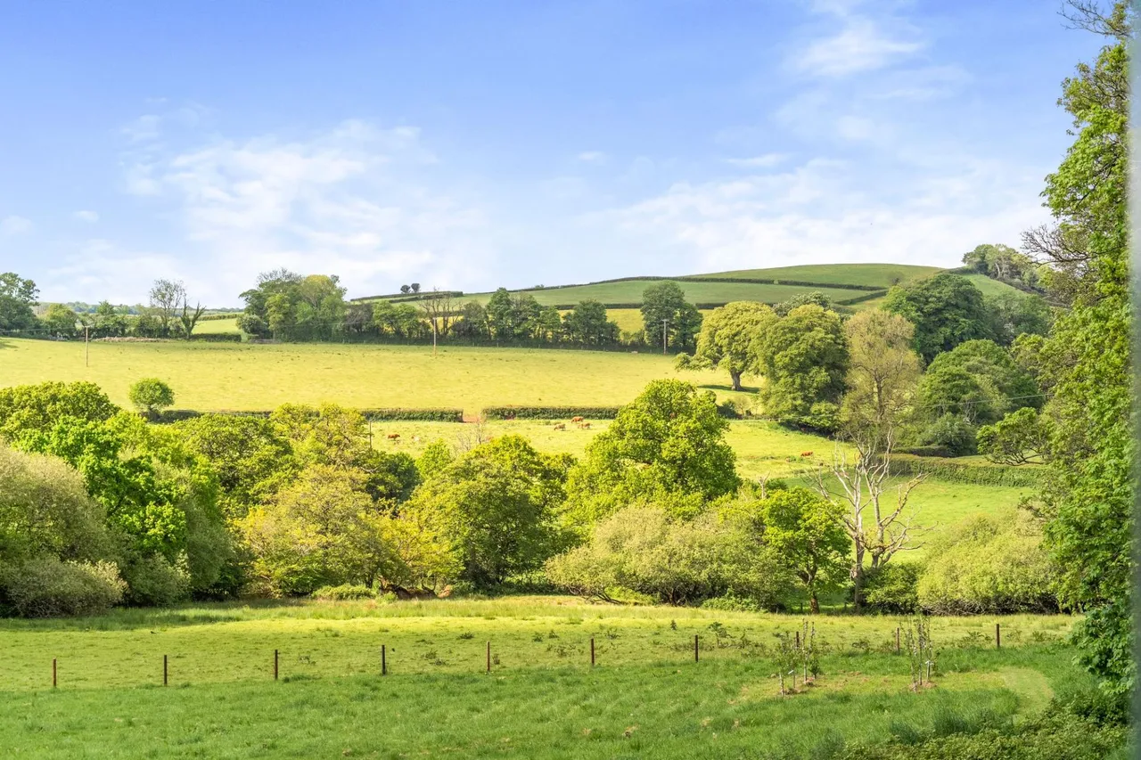 Harbertonford, Totnes, TQ9, photo 32