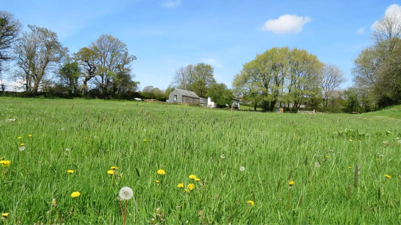 Harbertonford, Totnes, TQ9, photo 30