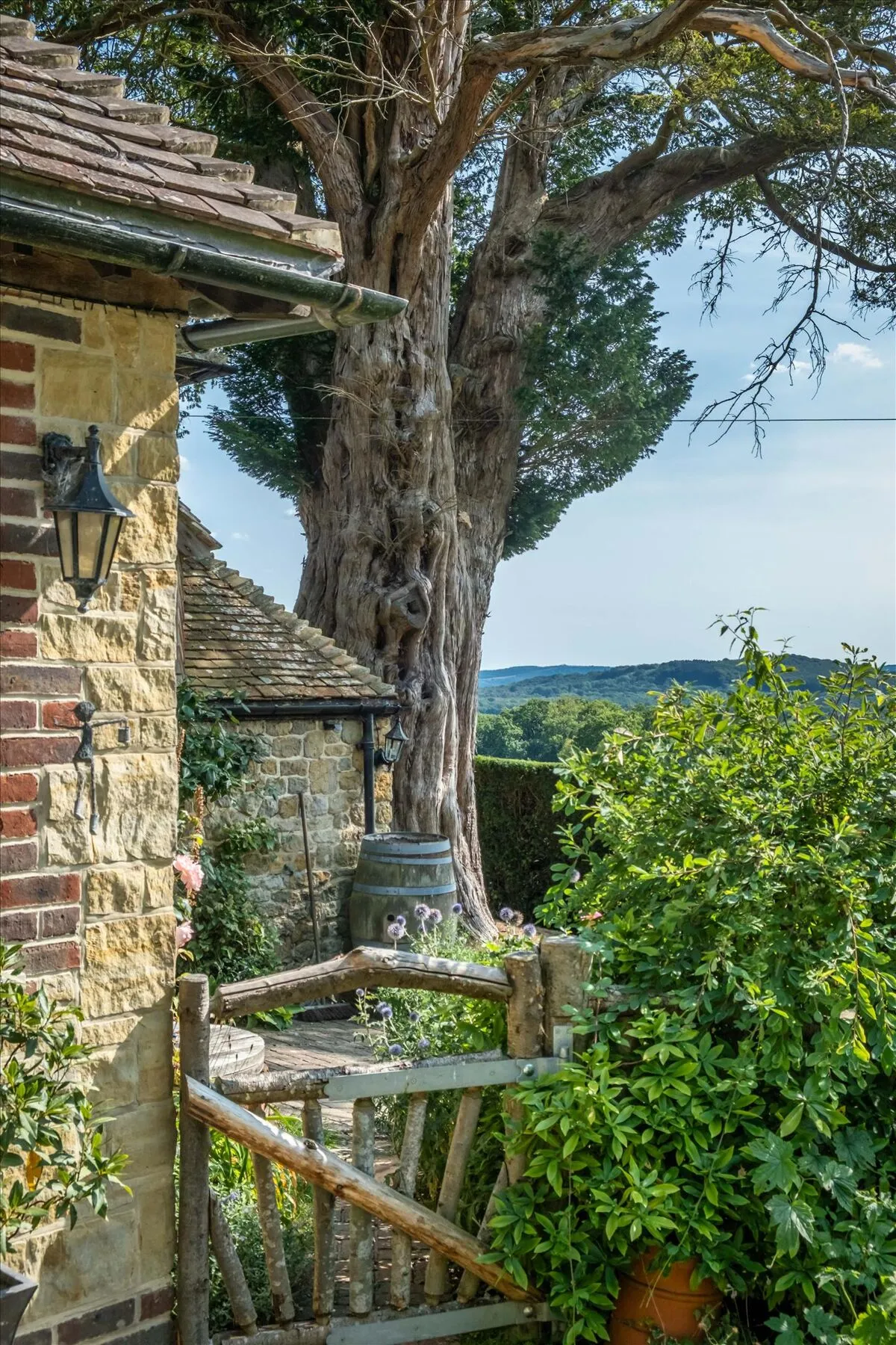 Hollycombe Lane, Linch, GU30, photo 4