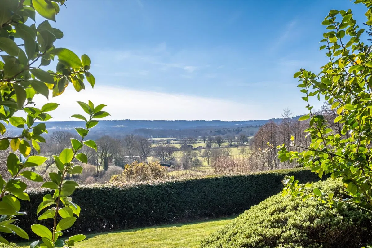 Hollycombe Lane, Linch, GU30, photo 3