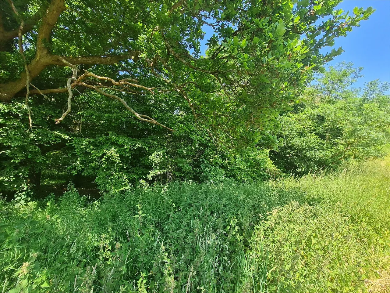 Sturts Lane, Walton on the Hill, KT20, photo 14