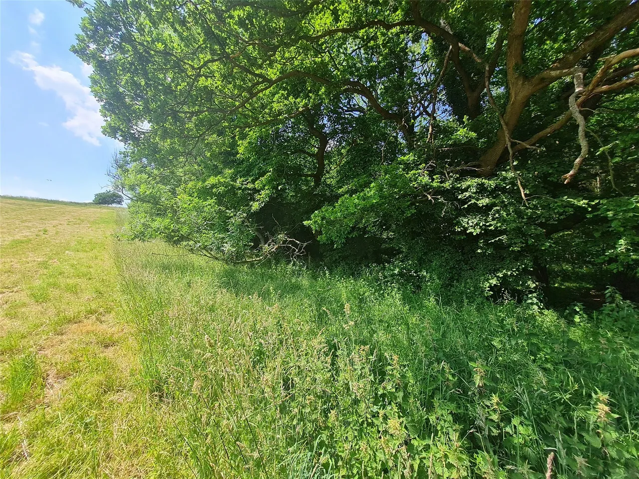 Sturts Lane, Walton on the Hill, KT20, photo 4