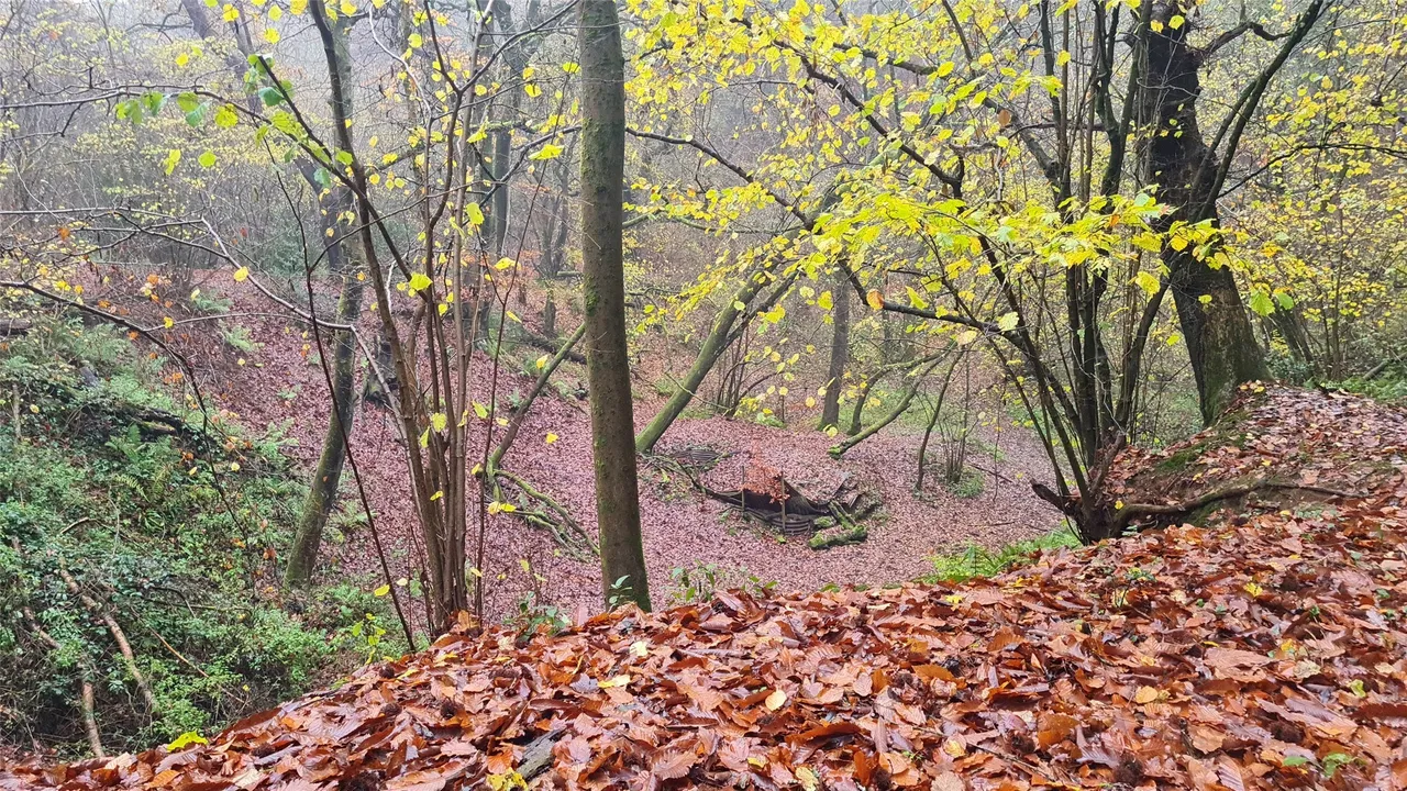 Sturts Lane, Walton on the Hill, KT20, photo 8