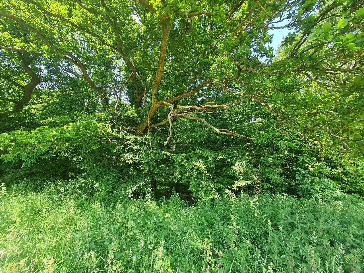 Sturts Lane, Walton on the Hill, KT20, photo 6