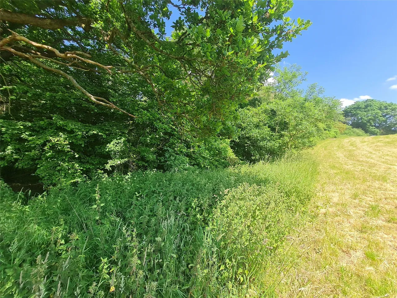 property for sale, Sturts Lane, Walton on the Hill, KT20