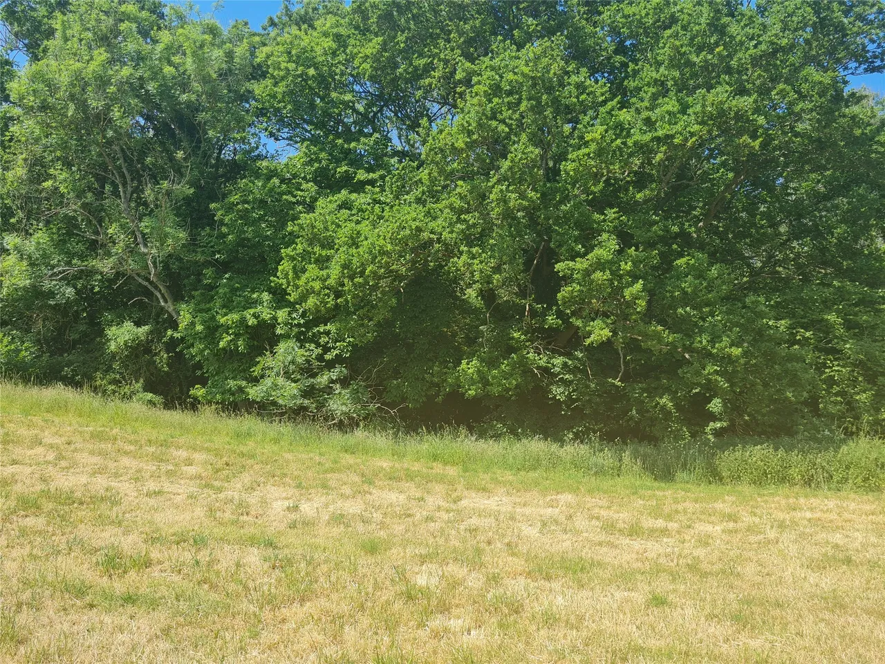 Sturts Lane, Walton on the Hill, KT20, photo 5