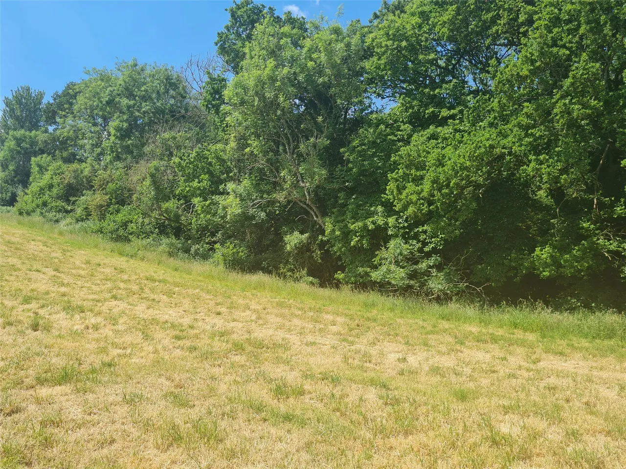Sturts Lane, Walton on the Hill, KT20, photo 2