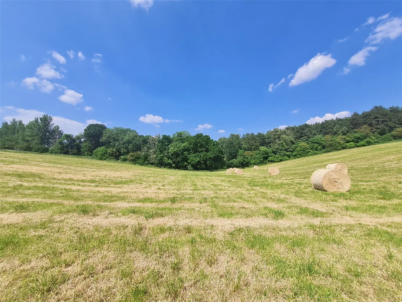 Sturts Lane, Walton on the Hill, KT20, photo 7