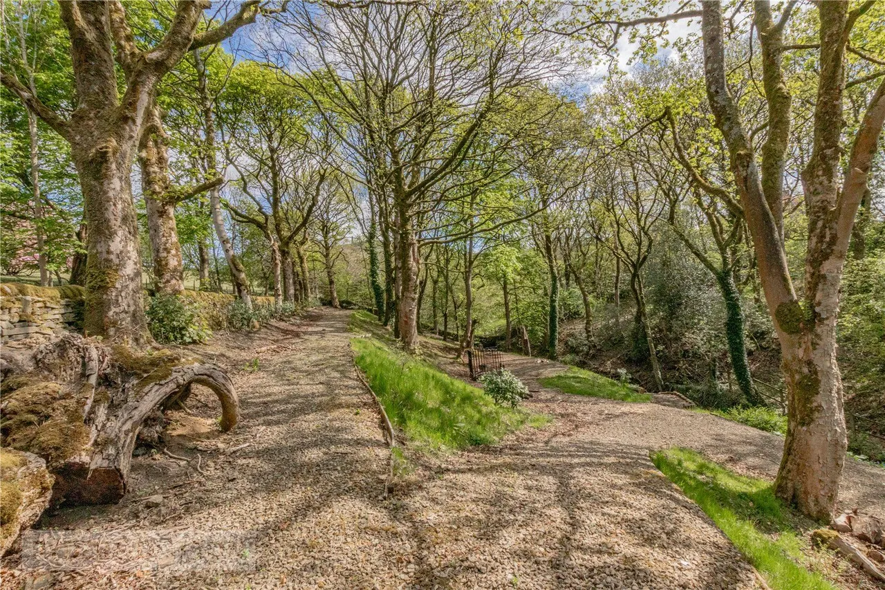 Kinders Lane, Greenfield, OL3, photo 33