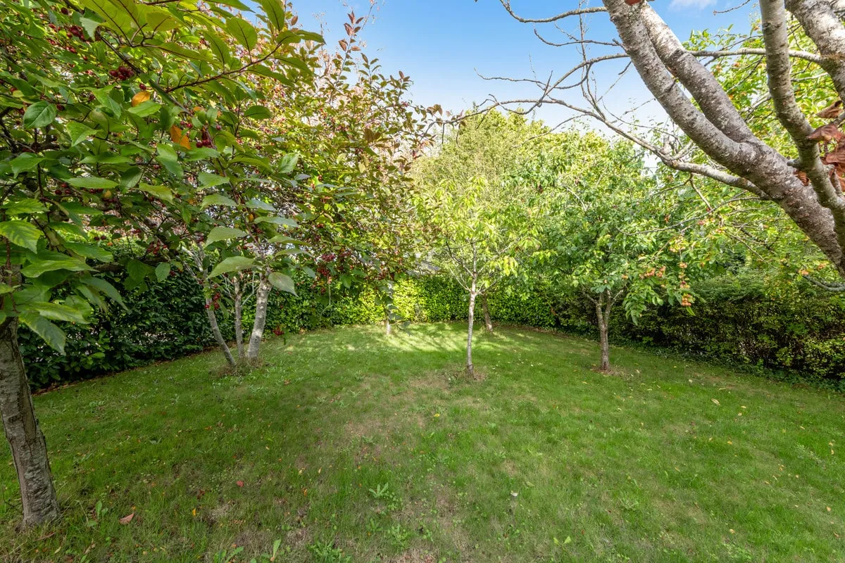 Olivers Mead, Child Okeford, DT11, photo 18