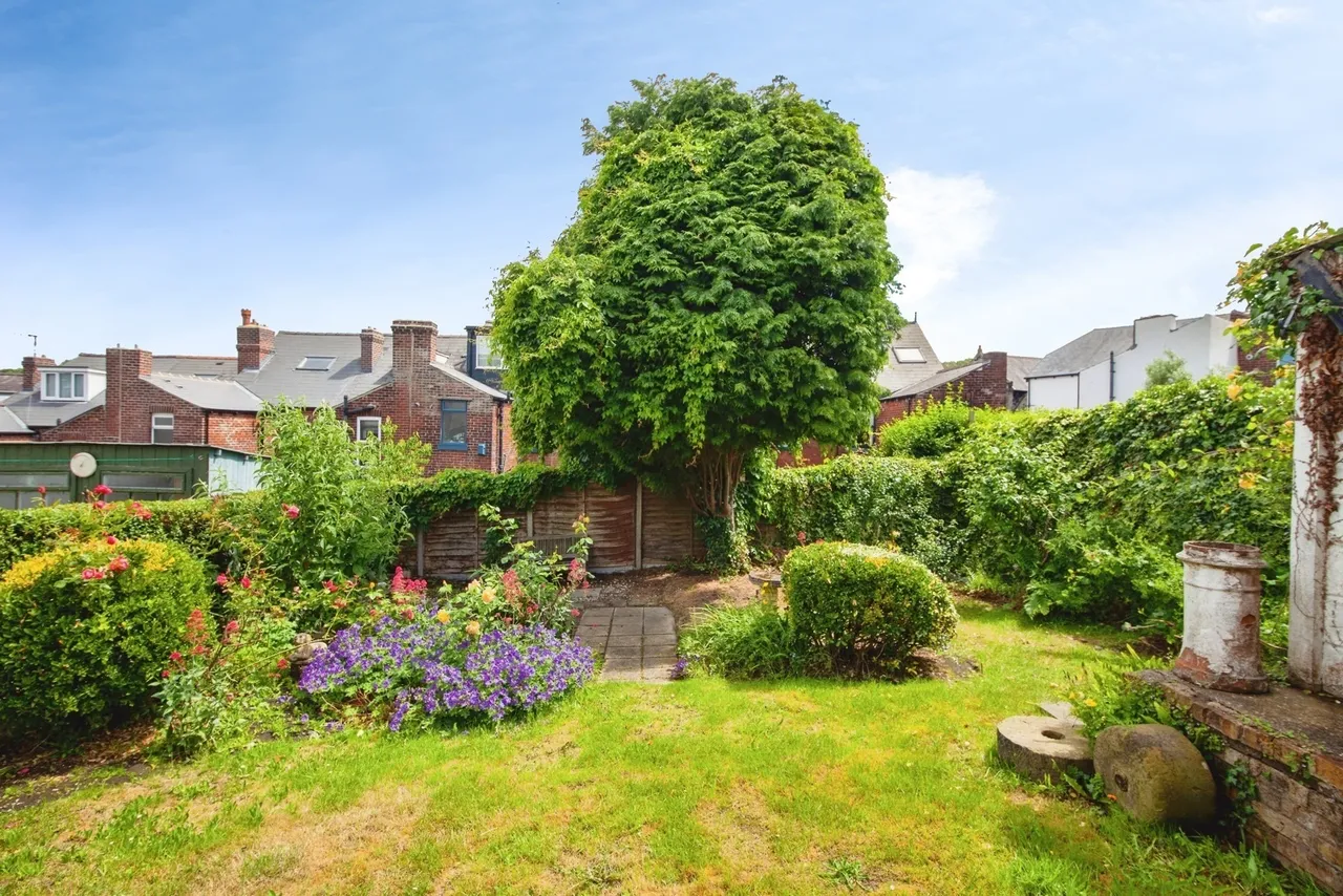 Peveril Road, Sheffield, S11, photo 5