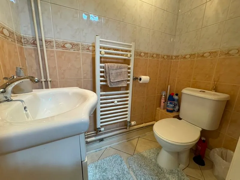 Snowford Close, Luton, LU3, photo 9