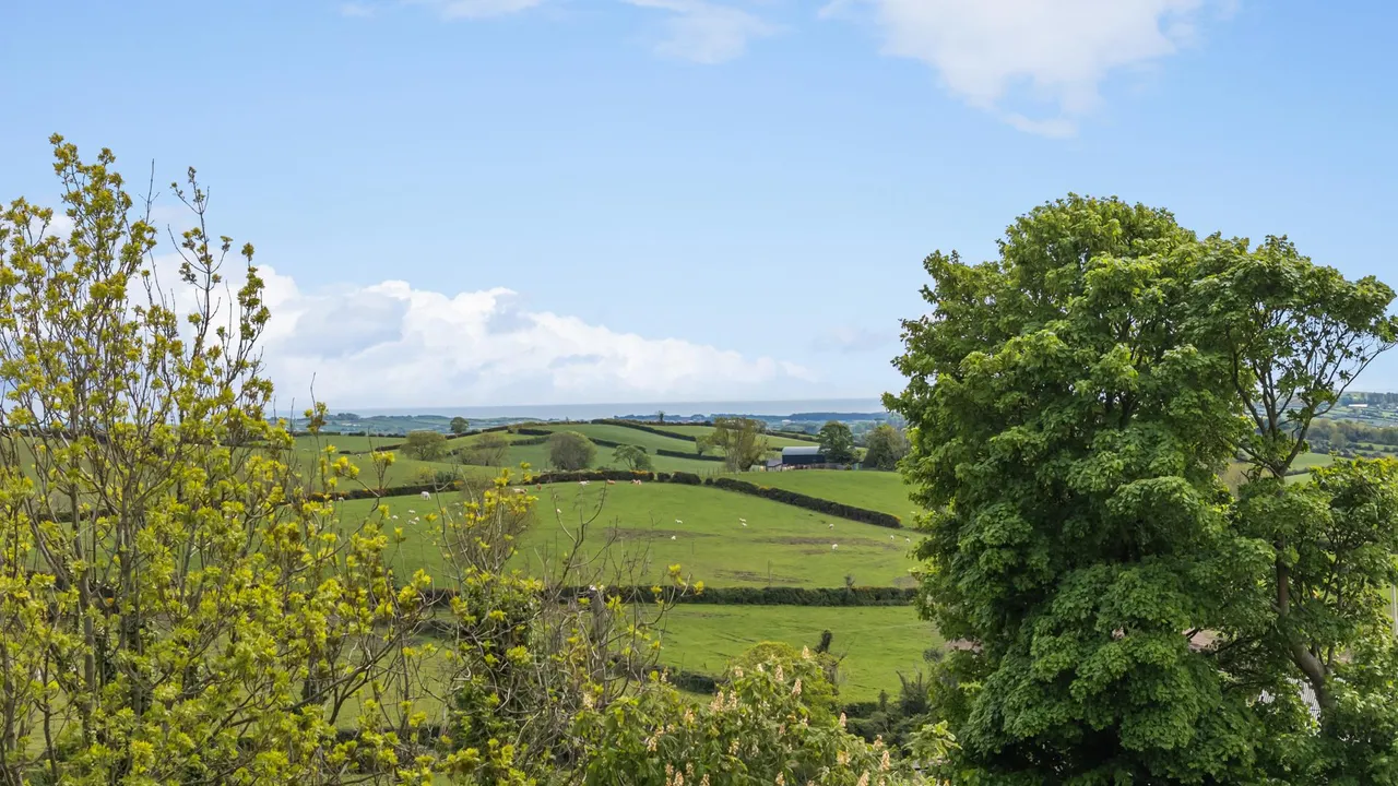 Carnreagh Road, Castlewellan, BT31, photo 40