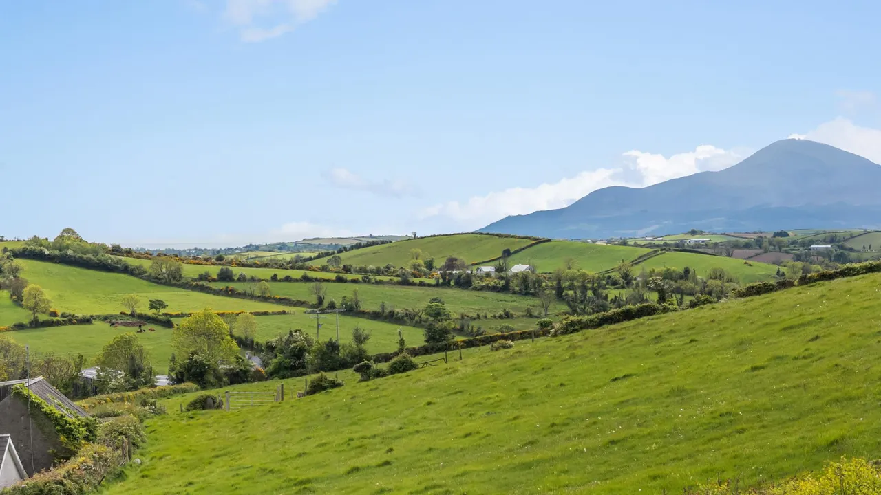 Carnreagh Road, Castlewellan, BT31, photo 39