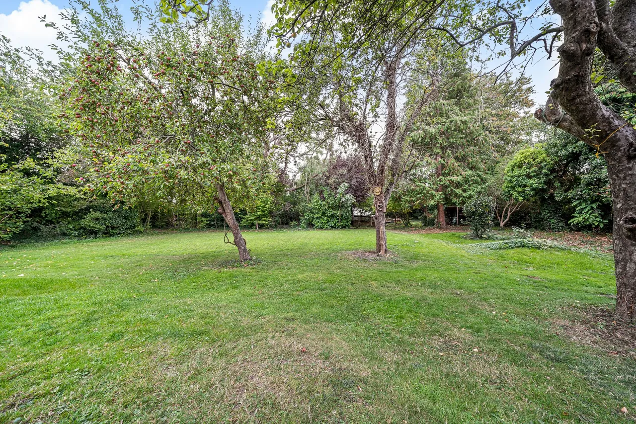 London Road, Guildford, GU4, photo 16