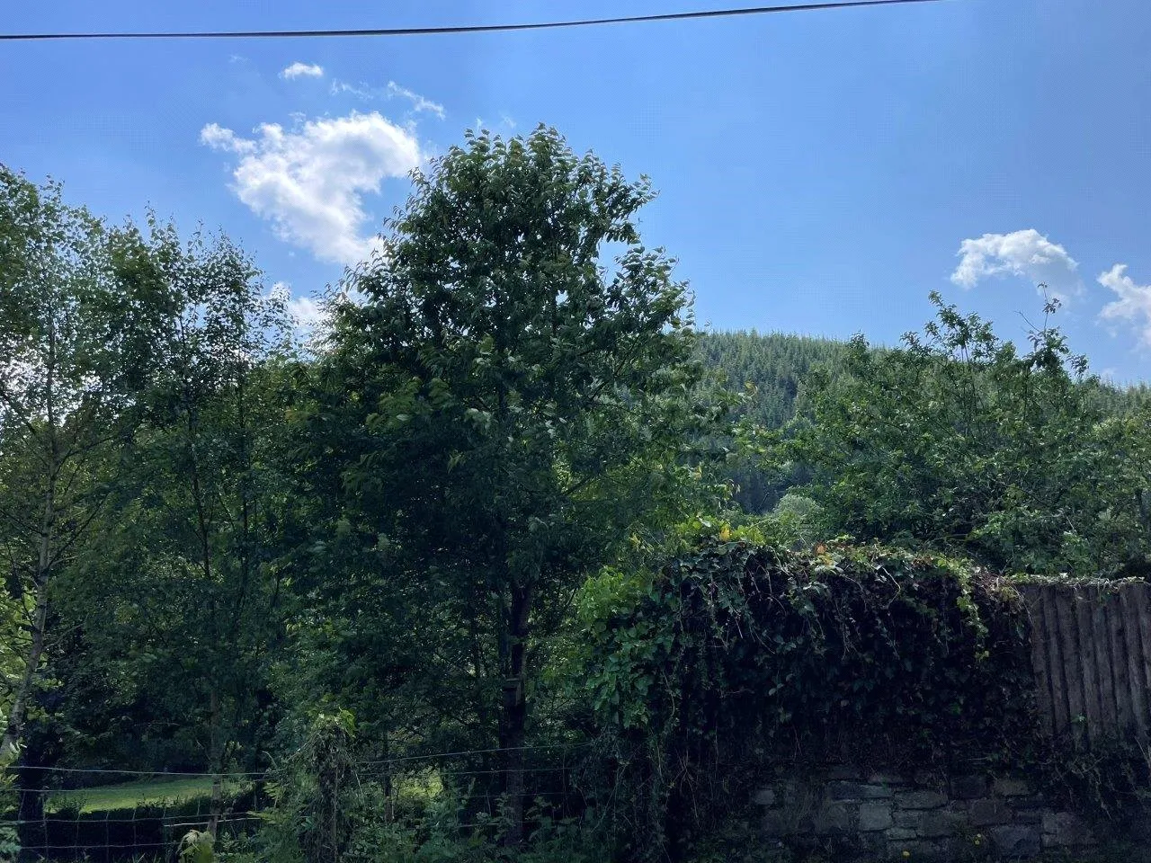 Aberangell, Machynlleth, photo 14
