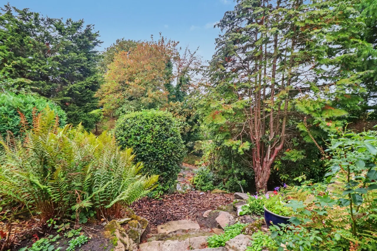 Waggs Road, Congleton, photo 20