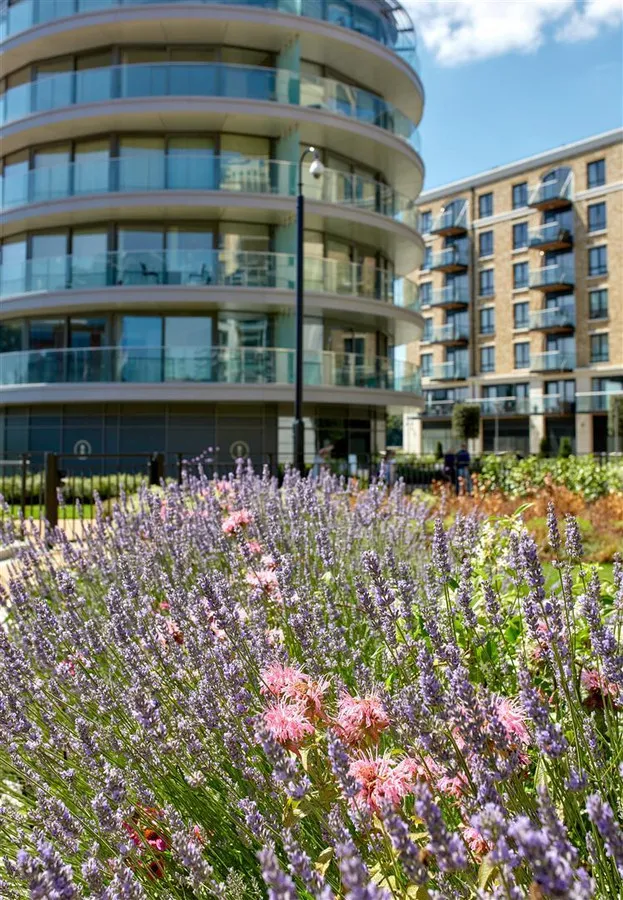 Fulham Reach, London, W6, photo 8