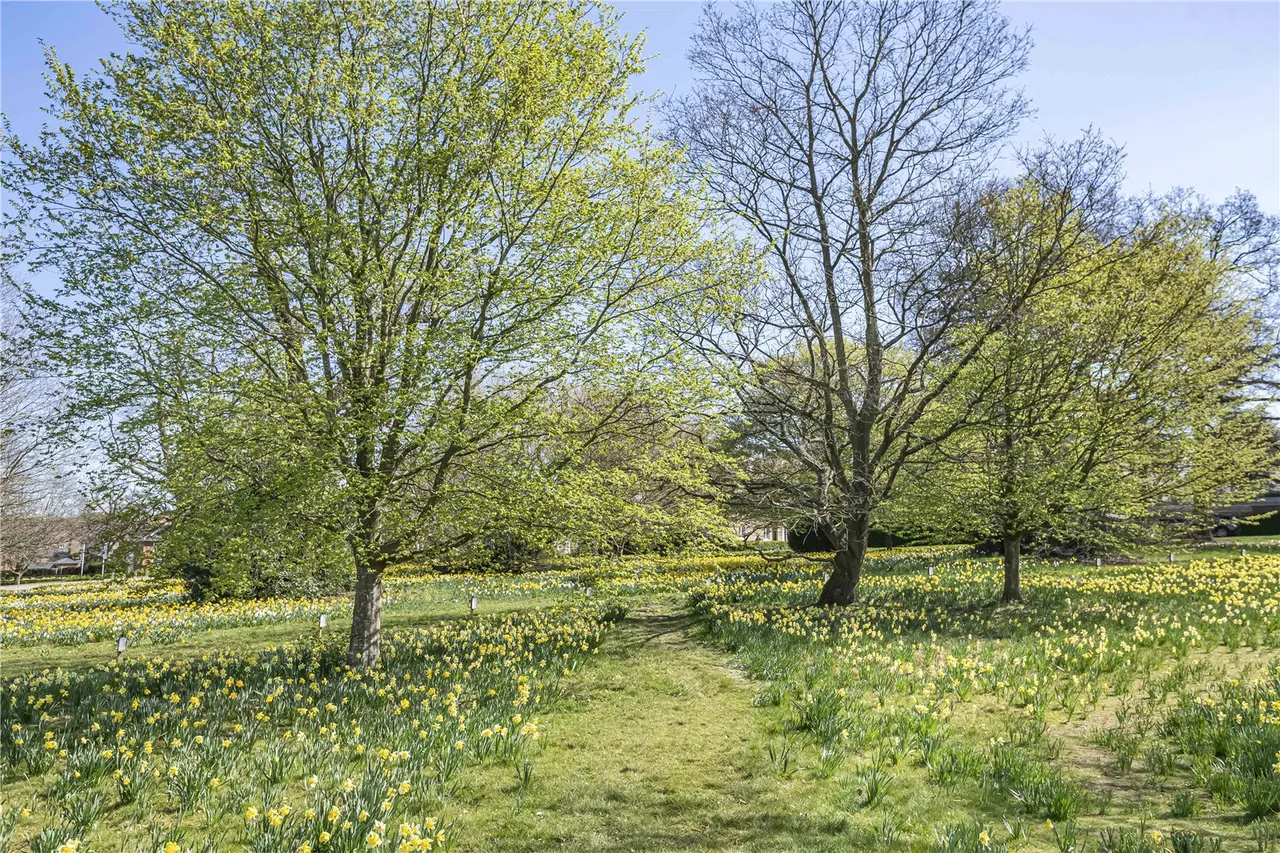 Daffodil Crescent, Barnet, EN4 0EB, photo 26