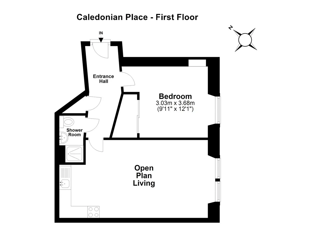 Caledonian Place, Edinburgh, EH11, photo 11