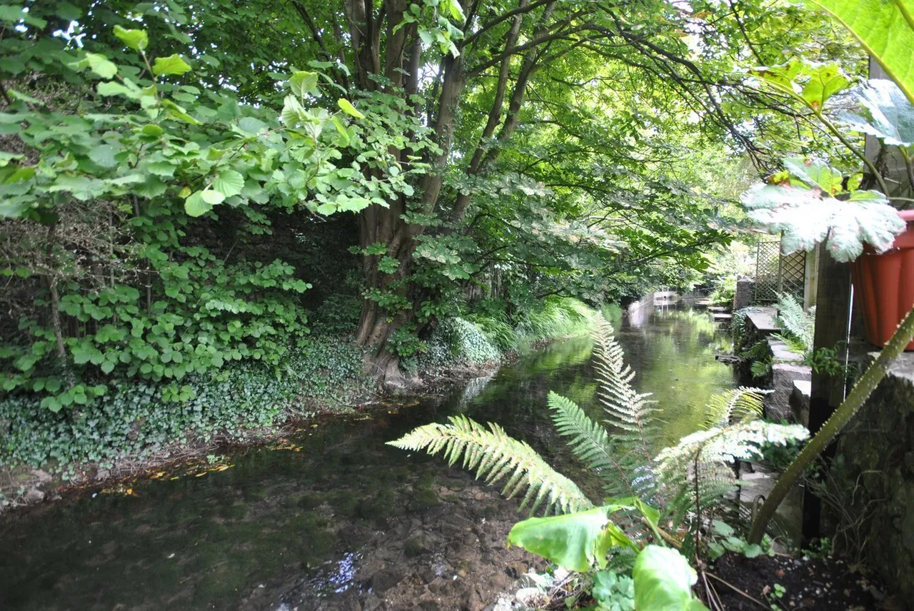 Cliff Street, Cheddar, BS27, photo 19