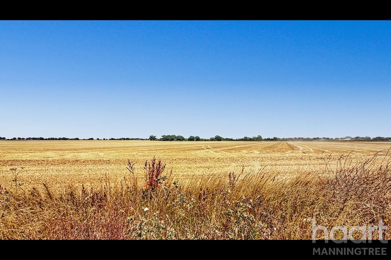 Clacton Road, Horsley Cross, CO11, photo 14