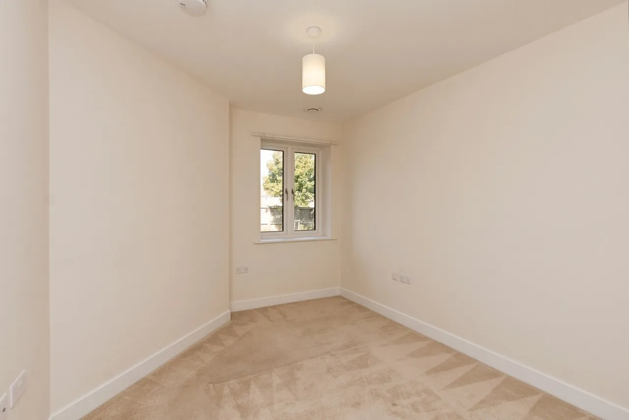 Shortwood Copse Lane, Basingstoke, RG23, photo 7